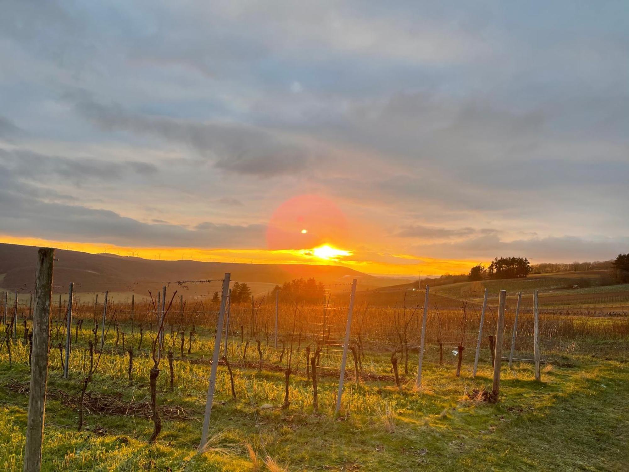 Landhotel Lembergblick Feilbingert Экстерьер фото